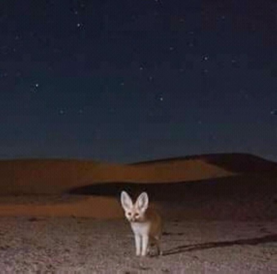 Restcamp Ergchebbi * Merzouga
