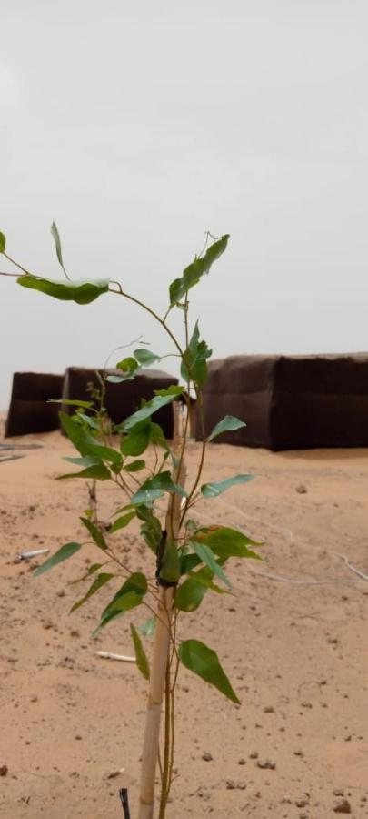 Campingplatz Restcamp Ergchebbi